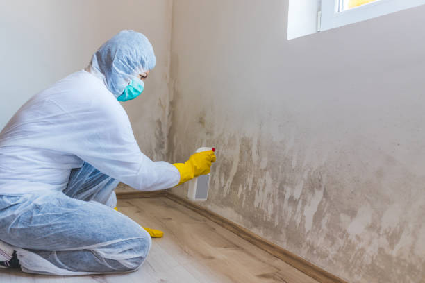 Licensed Mold Testing service in New Church, VA - WQB Mold Removal