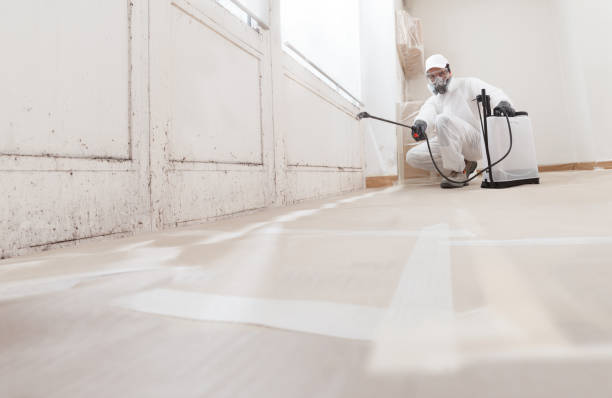 Trusted Mold Testing service in New Church, VA - WQB Mold Removal