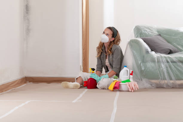 Reliable Mold Testing contractor in New Church, VA by WQB Mold Removal