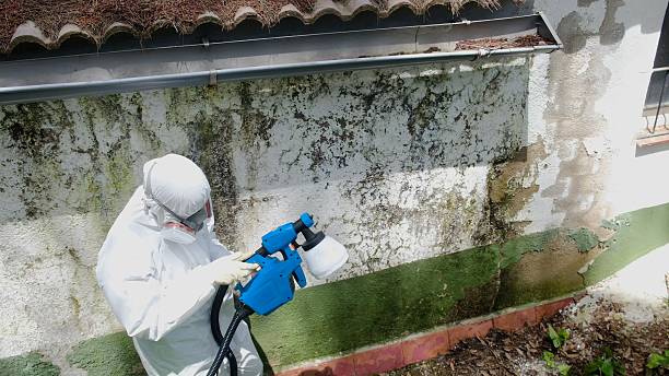 Top rated local Mold Testing specialists in New Church, VA